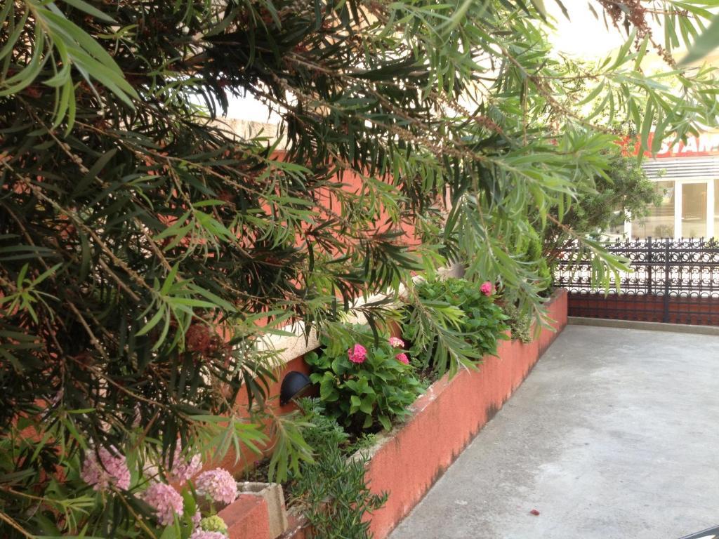 Apartments Boreta Budva Luaran gambar